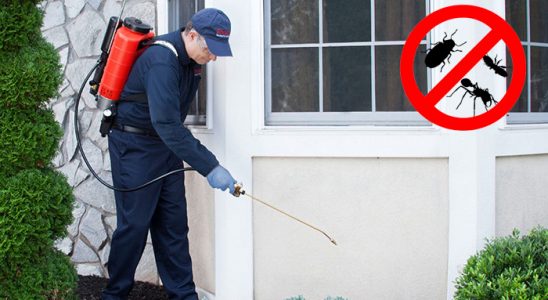Evka 5 Kene İlaçlama böcek ilaçlama ve haşere kontrolü — ilaclama-tr.com